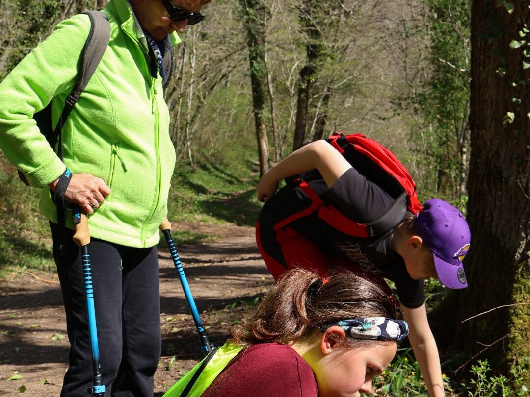 une famille de randonneurs. Deux enfants ramassent des plantes pour les observer